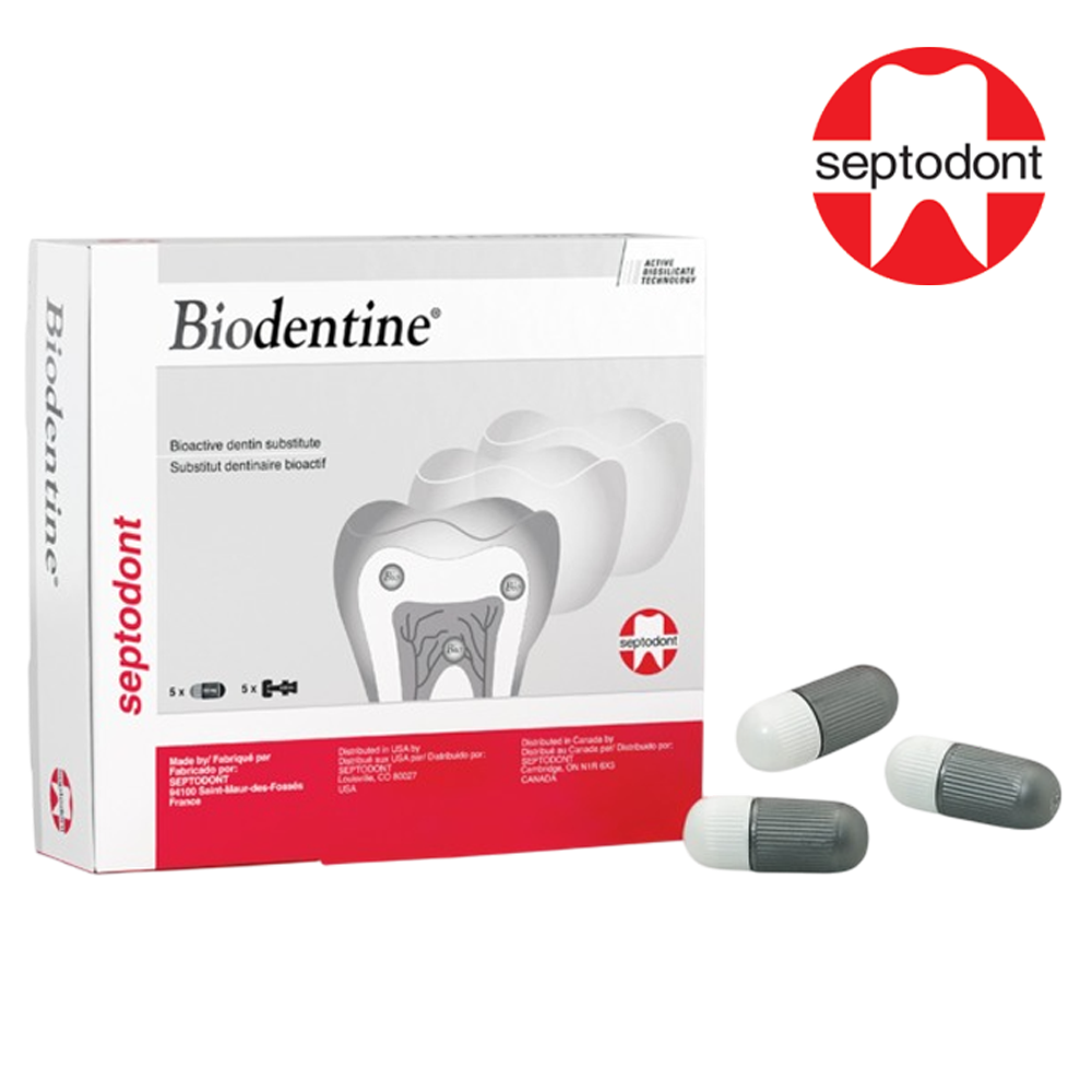 Cemento Temporal Cavex Ideal Para Cementaciones Dentales Per Dentistry Cemento Temporal Cavex Ideal Para Cementaciones Dentales Per Dentistry