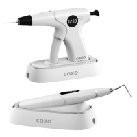 C-FILL COXO Sistema de Obturación